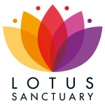 lotus sanctuary logo
